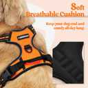 rabbitgoo Dog Harness No Pull with 2 Leash Clips, Adjustable Soft Padded, Reflective Oxford No Choke Pet Vest with Easy Control Handle for Medium Sized Dogs,Orange, M