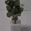 Artificial Eucalyptus Stems in Glass Vase with Faux Water,3Pcs Fake Plant with Double-Sided Green Leaves for Centerpiece(Double-Sided Green Eucalyptus)