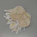50 Pcs Wedding Hand Plastic Fans Handheld Wedding Favors Fans for Guests Bulk Thank You for Celebrating with Us Greenery Plastic Fan with Handle for Ceremony Bridal Shower(Retro Lace)