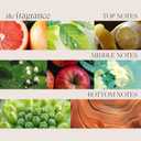 L'ANZA Healing Volume Zero Weight Gel, Extra Hold Hair Gel Dramatically Boosts Shine, Volume, and Thickness of Fine Flat Hair, And Styling Gel For Edge Control, Braiding & Hair Styling (6.8 Fl Oz)