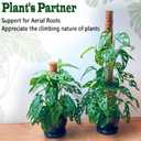 4 Pack 18 Inch Moss Pole, Stackable Moss Poles for Climbing Plants Monstera, Tall Plant Sticks Accessories, Large Coir Plant Support Stakes for Potted Plants Indoor, Pothos, Philodendron