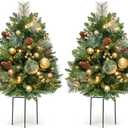 Somikis 30 Inch Outdoor Christmas Tree Set of 2, Battery Operated Pre-Lit Artificial Small Xmas Tree, w/LED Lights and Realistic Carolina Pine for Pathway, Porch, Driveway, Yard