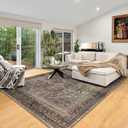 Area Rug 69, Large Vintage Boho Rug,Ultra-Soft Low Pile, Washable, Non Slip,Stain Resistant, Printed Carpet for Living Room Bedrooms Playroom Office Kitchen,Oat/Antiquity