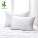Aloe Vera Hotel Collection Gel Pillow (2 Pack) – Luxury Plush Pillows with All-Natural Pure Aloe Vera Treatment – Eco-Friendly, Hypoallergenic Infused with Soothing and Moisturizing Aloe Vera - King, King Size