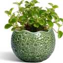 Ceramic Plant Pots - 4 inch Plant Pot with Drainage Hole, Small Pots for Plants Indoor Outdoor, Unique Round Planter, Modern Decorative Flower Pot, Room Decor, House Warming Gifts, Green