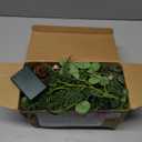 Brightown Pre-lit Christmas Garland with Lights, 6 Feet 20 LED Battery Operated Christmas Lights with Pine Cones, Berry, Eucalyptus Leaves, Indoor Christmas Decorations for Stairs, Fireplace, Door (1 Pack)