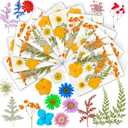 TIANLDD 100 Pieces (10 Packs) Real Pressed Dried Flowers for Resin Molds, Dry Flowers for Crafts. Suitable for Resin,Scrapbooking,Crafts,Face Decorations,etc. (Orange)