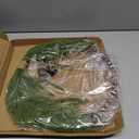 Dingion Small Norfolk Pine Christmas Wreath 11.8 in Christmas Kitchen Cabinet Norfolk Pine Wreath Mini for Front Door Artificial Farmhouse Rustic Xmas Decor for Window Fireplace