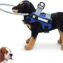 Blind Dog Ring,Adjustable Blind Dog Harness,Blind Dog Bumper to Protect Cats and Dogs with Blindness, Blurred Vision, Sick Eyes from Collision (S)