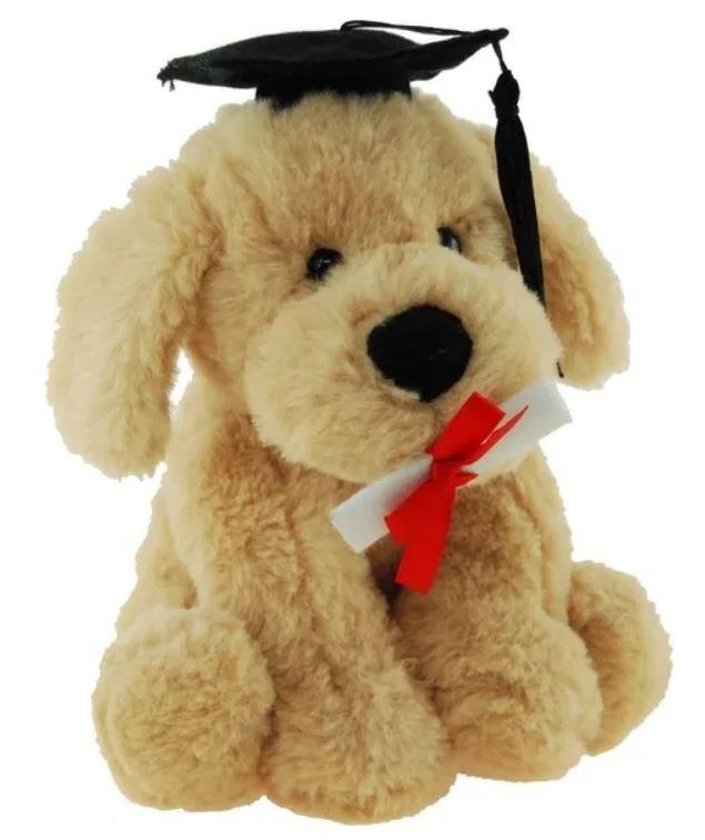 Buddy The Graduation Dog (18cm)