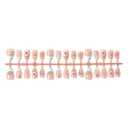 Almond Press on Nails for Women, Fake Nails Artificial Stick on Nails with Summer Style Blue Pink Flowers Gold Stars Silver Shell Accessories, Elegant Glue on Nails with Pearl Details