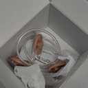 Momcozy Original V1 Pro/V2 Pro Breast Pump Replacement Accessories,Milk Collection Cups Only for Momcozy V1 Pro/V2 Pro, 2 Pack