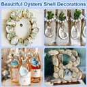15PCS Natural Oyster Shells 4-5 in Uncarved Oyster Shells for Crafts, Hard Texture for DIY Arts Ornaments, Candle Holders, Coastal Decor & Art Projects