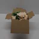 Carlita‘s Blooms 20Pcs Champagne Roses Artificial Flowers Artificial Silk Roses Bulk, Fake Roses Flower with Stems Realistic Flowers for Wedding Centerpiece Home Party Decor, Beige