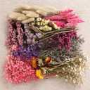 11 Kinds of Dried Flowers for Crafts Bulk DIY Natural Multi-color Dried Pampas Grass Lavender Forget Me Not Babys Breath with Stems Dry Flower Bouquets with Hemp Rope for Home Decor Floral Arrangement (Various Series)