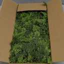 9FT Cedar Garland with Lights, Prelit Christmas Garland Artificial Realistic, Real Touch Pine Christmas Garland for Mantle Stairs Outdoor Decoration, Battery Operated Faux Greenery Garlands Thick Lush