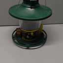 More Birds Large Lantern Bird Feeder, Lantern-Style Wild Bird Feeder, 5 Feeding Ports, 3.8-Pound Seed Capacity, Green