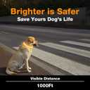 3 x LED Dog Collar, Light Up Dog Collar, Lighted Dog Collars Adjustable for Night Walking, Glow in The Dark Dog Collars Light with USB Rechargeable Color Changing Waterproof for Dogs (Orange, Small)