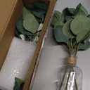 Zheart 2 Pack Small Fake Plants Eucalyptus PottedArtificial Eucalyptus Stems in Glass Vase with Faux Water for Shelf Desk Bathroom Farmhouse Room Office Coffee Table Kitchen Home Decor (Green)