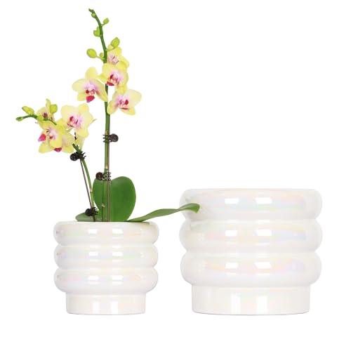 YFFSRJDJ 7.8 Inch + 5.7 inch 2 pcs Ceramic Plant Pots for Indoor Plants, Rainbow Pearl Glaze Planter with Planters for Plants with Drainage Hole, Orchid Pots, Succulent Pot, Flower Pot (White)