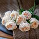 DUYONE Fake Flowers for Decoration Home Decor Artificial Flowers Austin Rose Peony Latex Fake Flower Living Room Decoration Vivid Pink Roses Peonies (Champagne 4pcs)