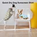Lightweight Breathable Dog Cooling Shirts, Quick Dry Dog Sunscreen T-Shirt, Professional Pet Summer Vest for Small Medium Large Girl Boy Dogs