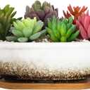 ARTKETTY Succulent Pots, 7.9'' Large Ceramic Pots for Indoor Cactus Plants, Shallow Succulent Planters with Drainage Tray, Oval Bonsai Plant Container Bowl Garden Home Windowsill Decor