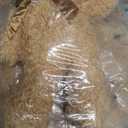 Stuffed Bears Set of 8