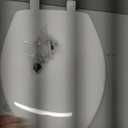 Toilet Seat, Elongated
