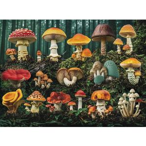 300 Pieces Mushroom Forest Jigsaw Puzzle for Adults,Colorful Botanical Plants,Large Piece Puzzle for Kids Teens Adults,Glossy Finish,Recycled Paper,Dust-free,Challenging&Fun Family Game (20.5 x 15 in)