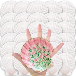 ReePlan 30PCS Large Scallop Shells for Crafts, 4-5 Inch Natural Sea Shells for Decorating, White Seashells Bulk for DIY Crafting, Painting, Baking, Ocean Themed Party Supplies & Decorations