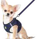FEimaX Dog Harness and Leash Set, No Pull Breathable Soft Mesh Puppy Vest Harness Reflective Adjustable Pet Harnesses for Small Dogs and Cats - Outdoor Easy Control for Walking