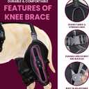 Dog Knee Brace for ACL, CCL, Arthritis, Joint Pain Hinged Leg Support for Torn Ligament, Luxating Patella, Rear & Hind Legs Orthopedic Compression & Mobility Recovery Wrap (Both Legs Large)