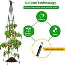 FOLLOOK Cucumber Trellis, 67" Tall Obelisk Garden Trellis for Climbing Plants Outdoor Plastic-Coated Metal Support for Flower Vine Vegetable Tomato Cage Cucumebr Trellis Raised Bed, Black, 2 Pack