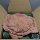 YUNIQUE Cat Tree with Cat Condo Scratch Post and Big Hammock, Green