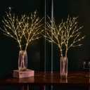 Fudios Lighted Branches with Timer Battery Operated 30IN Tall Birch Twig Lights for Vase 100 LED Outdoor and Indoor Holiday Winter Decor 2Set