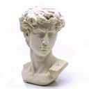 Resin Bust Statue 2.76 Inch Plaster Figurines Mini Home Decoration Sculpture White for Art Hobbyist-David