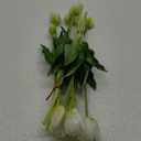 16-inch Premium Real Touch Fake Tulips, Artificial Flowers with Buds, Flexible Stem Easy to Shape, Faux Tulips (Vase not Included), 10-Pack Set of Peppermint White