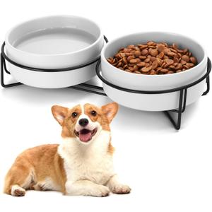 Ceramic Dog and Cat Bowl Set with Stand, 1.7 Cups Dog Food and Water Bowl Suitable for Small and Medium Pets (13.5oz White)