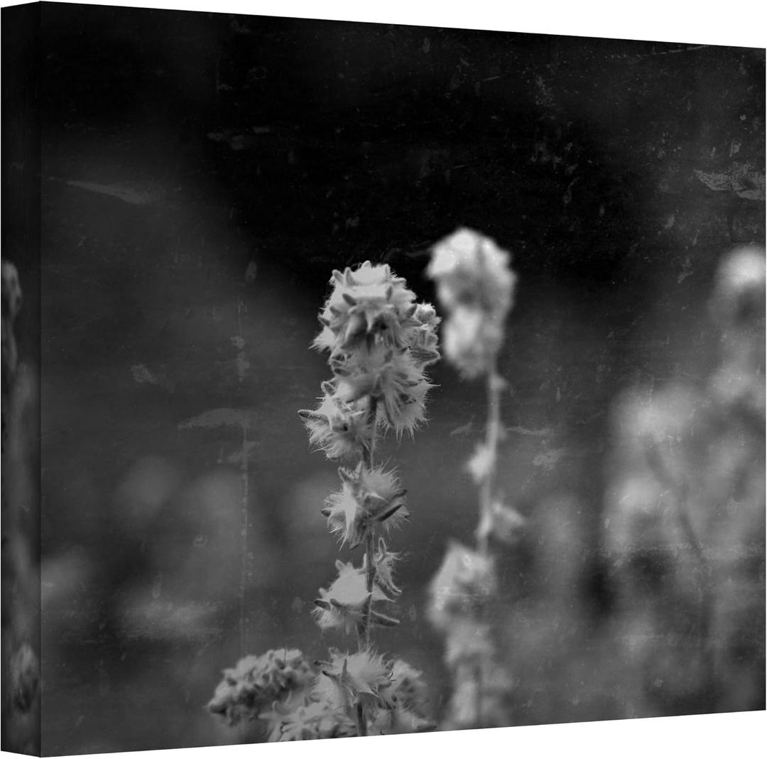Art Wall Puff Wrapped Canvas Art by Mark Ross, 14 by 18-Inch
