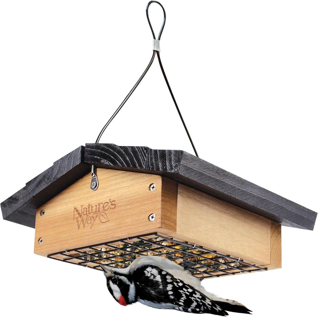 Nature's Way Bird Products CWF2 Cedar Suet Upside-Down Bird Feeder, Black (1 Cake)