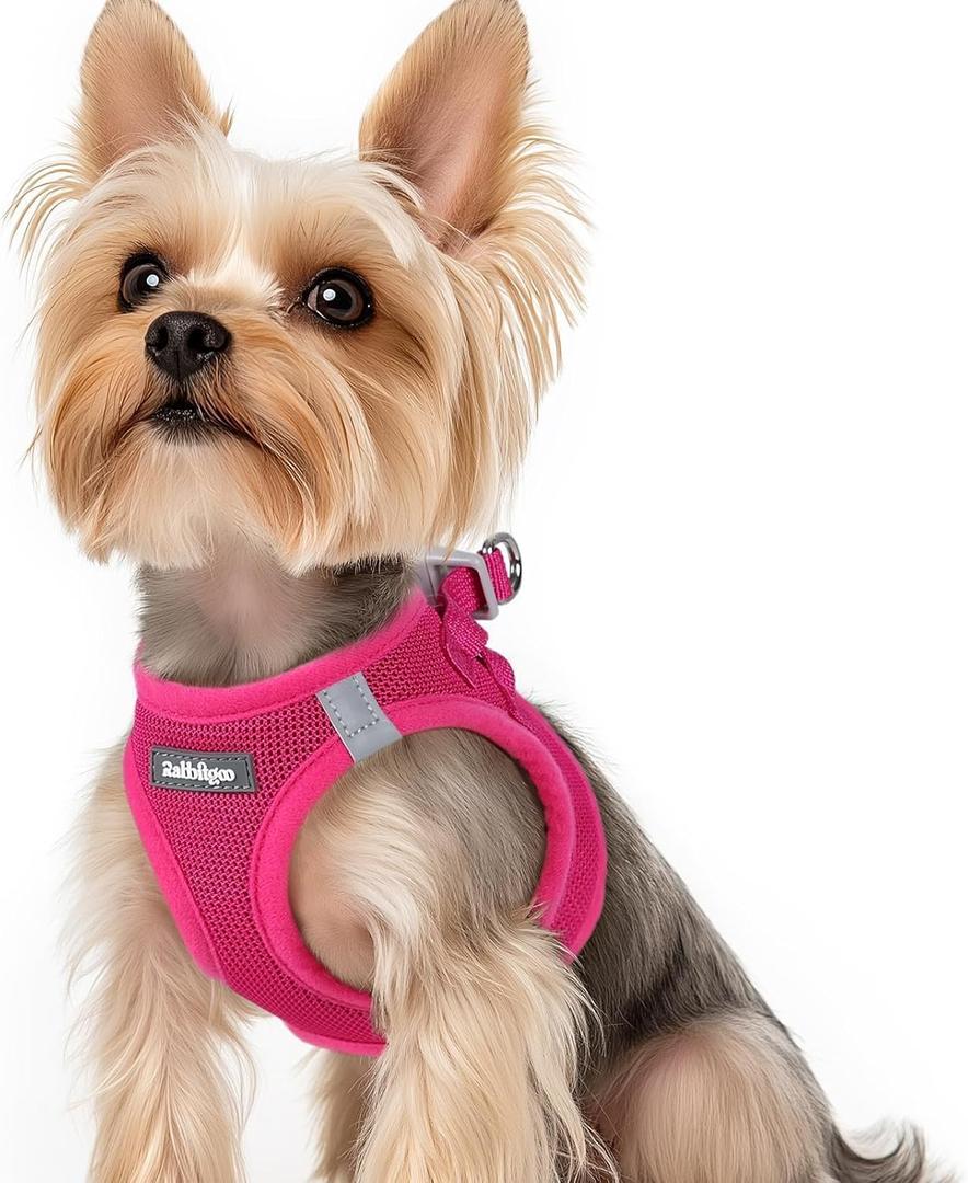 rabbitgoo Small Dog Harness, Step-in Soft Mesh Puppy Vest with Safety Buckle, Breathable Reflective Pet Harness for  Dogs, Rose Red XS 
