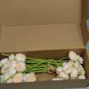 Floroom Ranunculus Artificial Flowers 18 Pcs Champagne Faux Silk Mini Ranunculus Bulk Fake Wedding Filler Flowers for DIY Cream Bouquets, Centerpieces, Bridal Shower Decorations & Arrangements