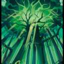 MTG Card Sleeves - Forest - Lotus Series - Ultra Clear Front & Matte Finish Back, 100 Count Standard Size TCG Sleeves, Matte Art Sleeve for Magic The Gathering