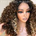 Highlight Skunk Strip Lace Front Wig, 16Inch Pre Plucked Glueless HD Lace Big Curly Wig for Black Women, Framing Highlights Brown Mix Blonde Color