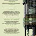 The Vertical Farm: Feeding the World in the 21st Century