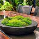 Preserved Pole Moss Pillow Bun Cushion Natural Green Decorative Real Natural Green DIY Kit Terrariums Gardenning Art Wall Decor Florist Decor Easter Table Wedding(1.5 sq.ft, Green-B)