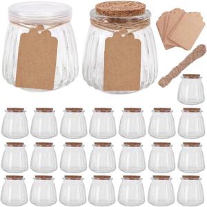 4oz Glass Jars with PE Lids and Cork Lids, 24 Pack Mini Pudding Jars Yogurt Jars Containers for Spice, Jam, honey, Mousse, Wedding, Shower Favors, DIY and Art