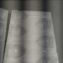 Yungyan 6 Pcs Self Watering Plant Globes Glass Cactus Insert Watering Devices Automatic Plant Watering Bulbs Water Globes for Indoor Outdoor Plants(Clear Tulip,5.31 Inch)