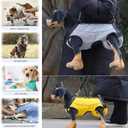 Dog Lift Harness,Dog Lift Sling,Full Body Support & Recovery Sling,Dog Lifter Vest Harness Can be Pulled,Carried,and Lifted Yellow XL